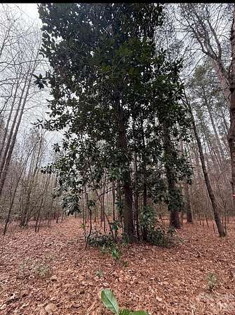 16.7 Acres of Recreational & Residential Land for Sale in Candor, North Carolina