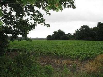 10.3 Acres of Land for Sale in Nelsonia, Virginia