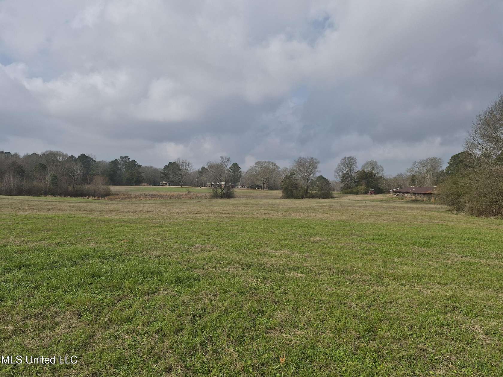 50 Acres of Land for Sale in Walnut Grove, Mississippi