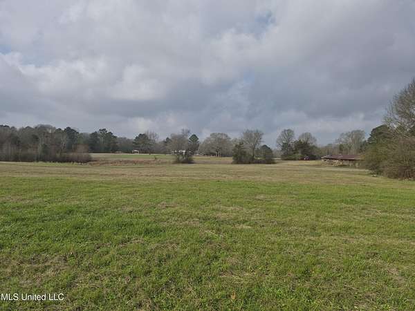 50 Acres of Land for Sale in Walnut Grove, Mississippi