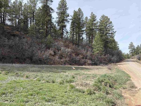 1.2 Acres of Residential Land for Sale in Pagosa Springs, Colorado