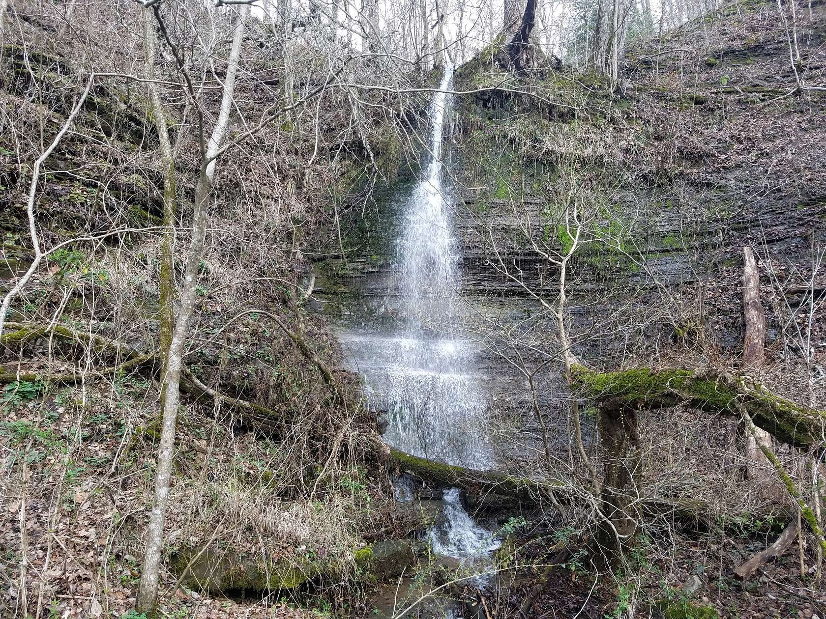 48 Acres of Recreational Land with Home for Sale in Westpoint, Tennessee