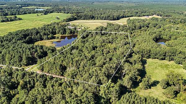 14.6 Acres of Recreational Land for Sale in Kinards, South Carolina