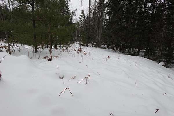 87.6 Acres of Recreational Land with Home for Sale in Embden, Maine