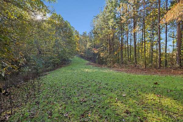 97.8 Acres of Recreational Land for Sale in Mount Pleasant, Tennessee