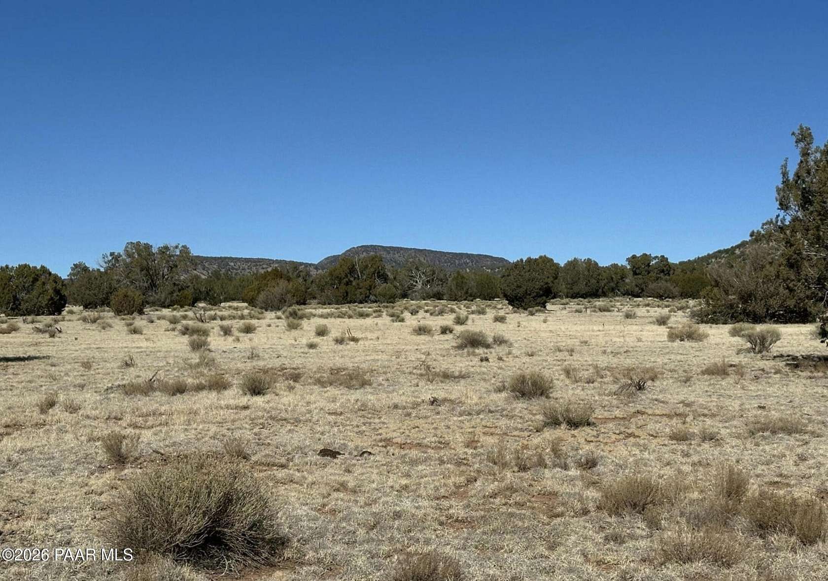 10 Acres of Recreational Land for Sale in Seligman, Arizona