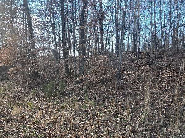 1.55 Acres of Residential Land for Sale in Decatur, Tennessee