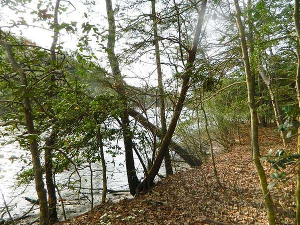 0.69 Acres of Residential Land for Sale in Machipongo, Virginia
