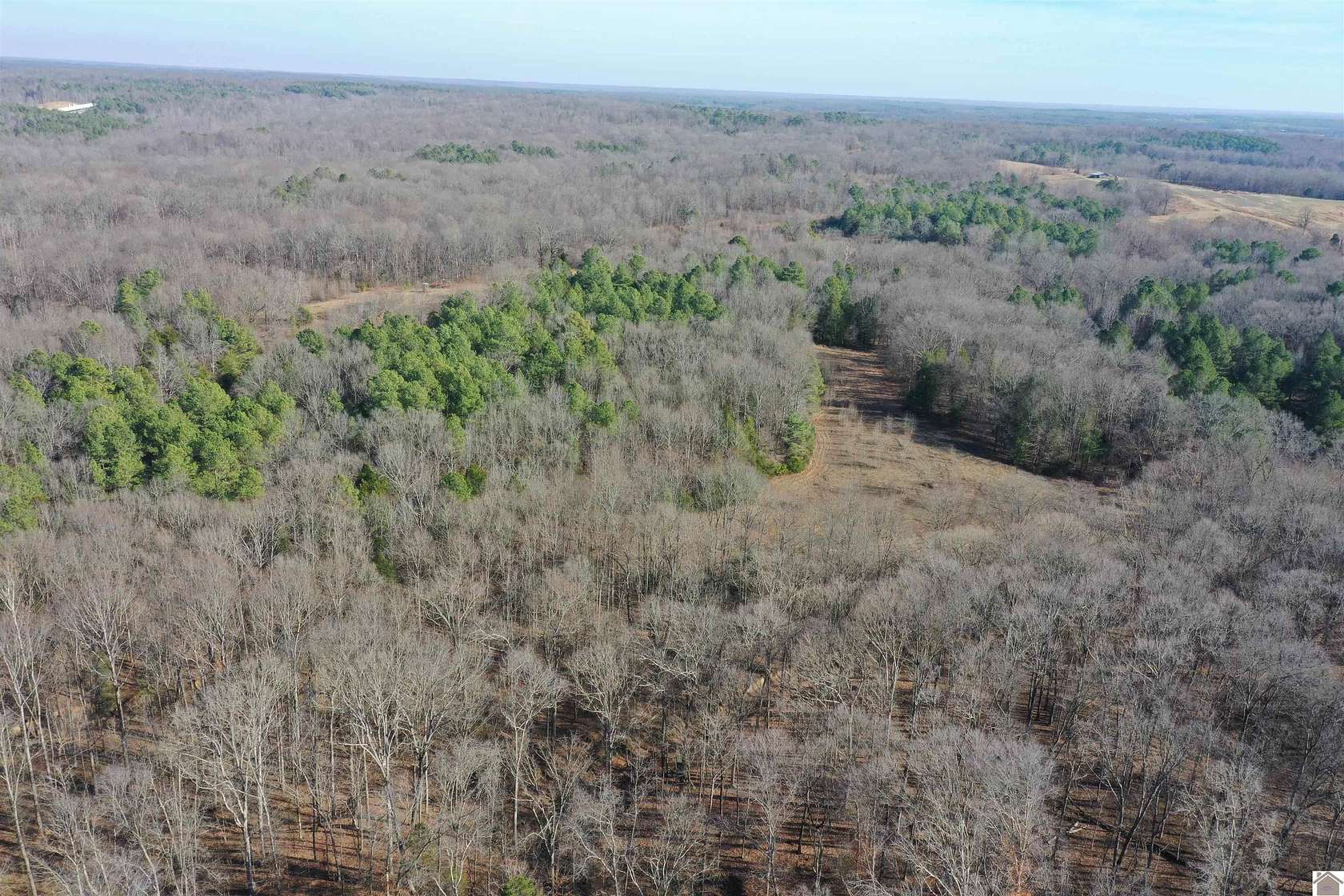54 Acres of Land for Sale in Dukedom, Tennessee