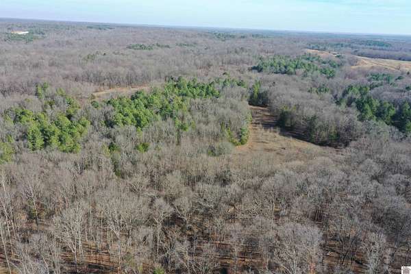 54 Acres of Land for Sale in Dukedom, Tennessee