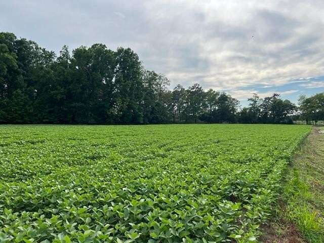 1.17 Acres of Residential Land for Sale in Withams, Virginia