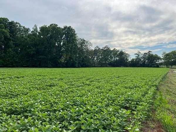 1.17 Acres of Residential Land for Sale in Withams, Virginia