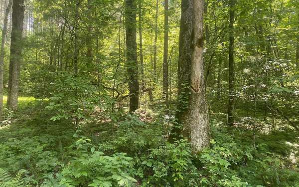 18 Acres of Land for Sale in Mineral Bluff, Georgia