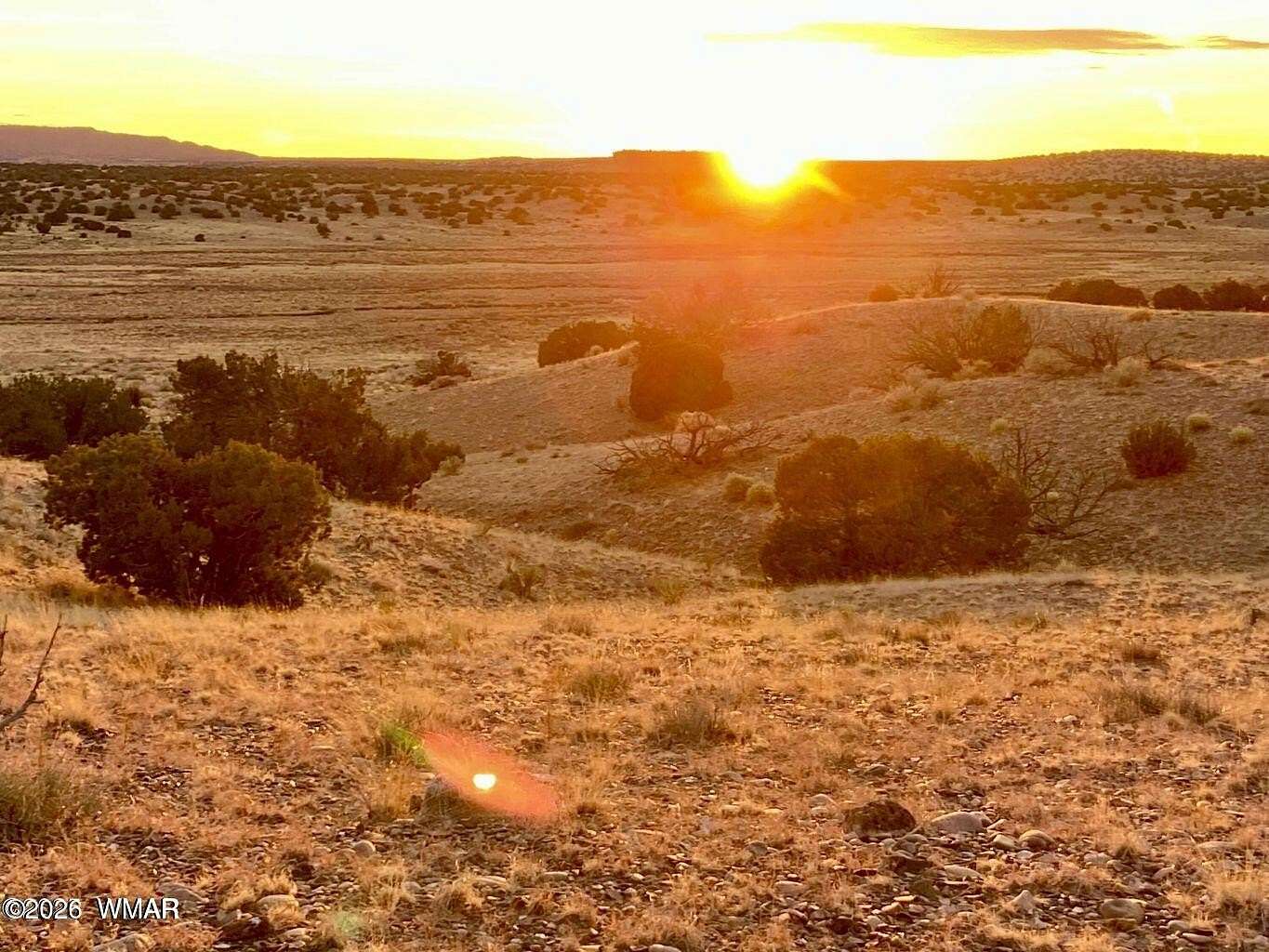 36.3 Acres of Recreational & Residential Land for Sale in St. Johns, Arizona