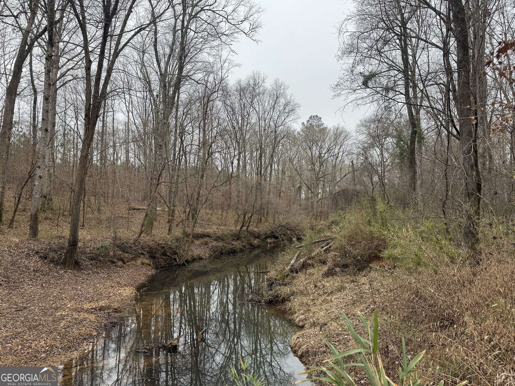 226 Acres of Recreational Land for Sale in Hamilton, Georgia