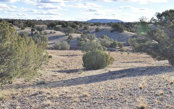 79 Acres of Recreational Land for Sale in Concho, Arizona
