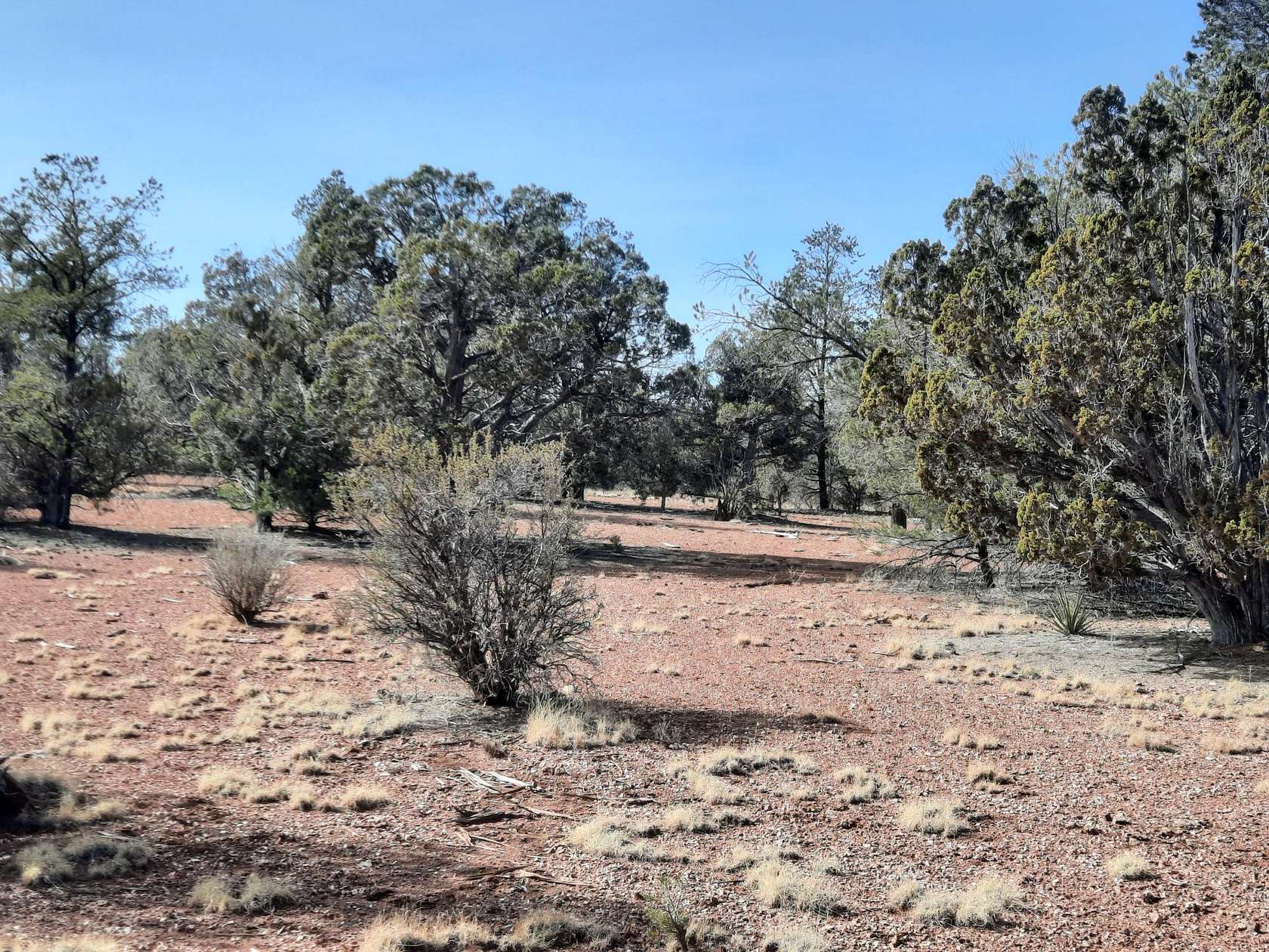 2.17 Acres of Land for Sale in Seligman, Arizona