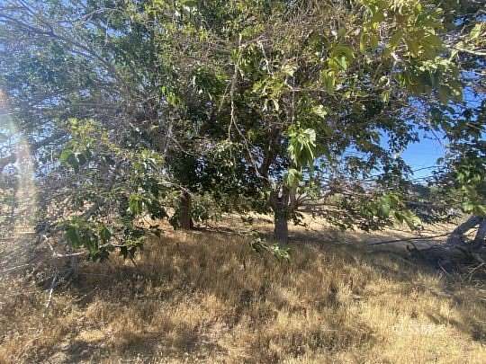 0.16 Acres of Residential Land for Sale in Lake Isabella, California
