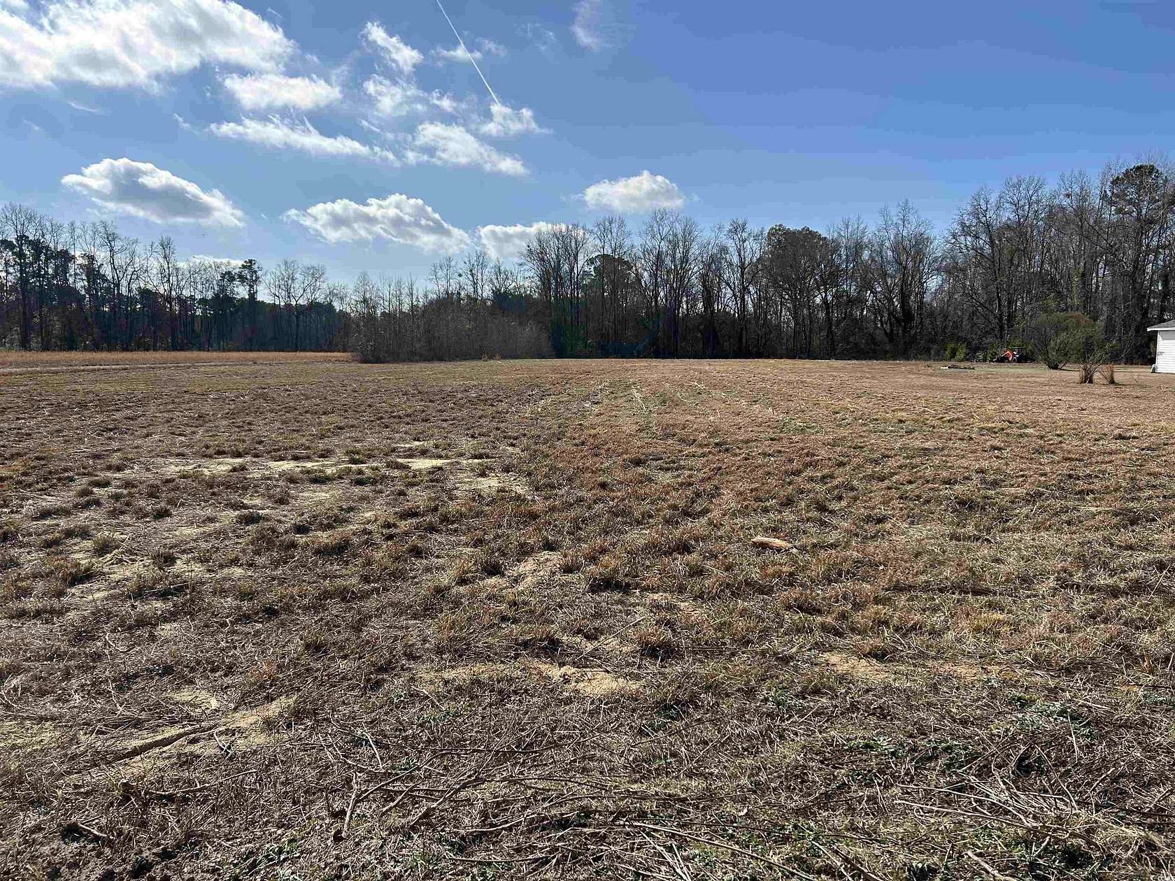 2.63 Acres of Residential Land for Sale in Johnsonville, South Carolina