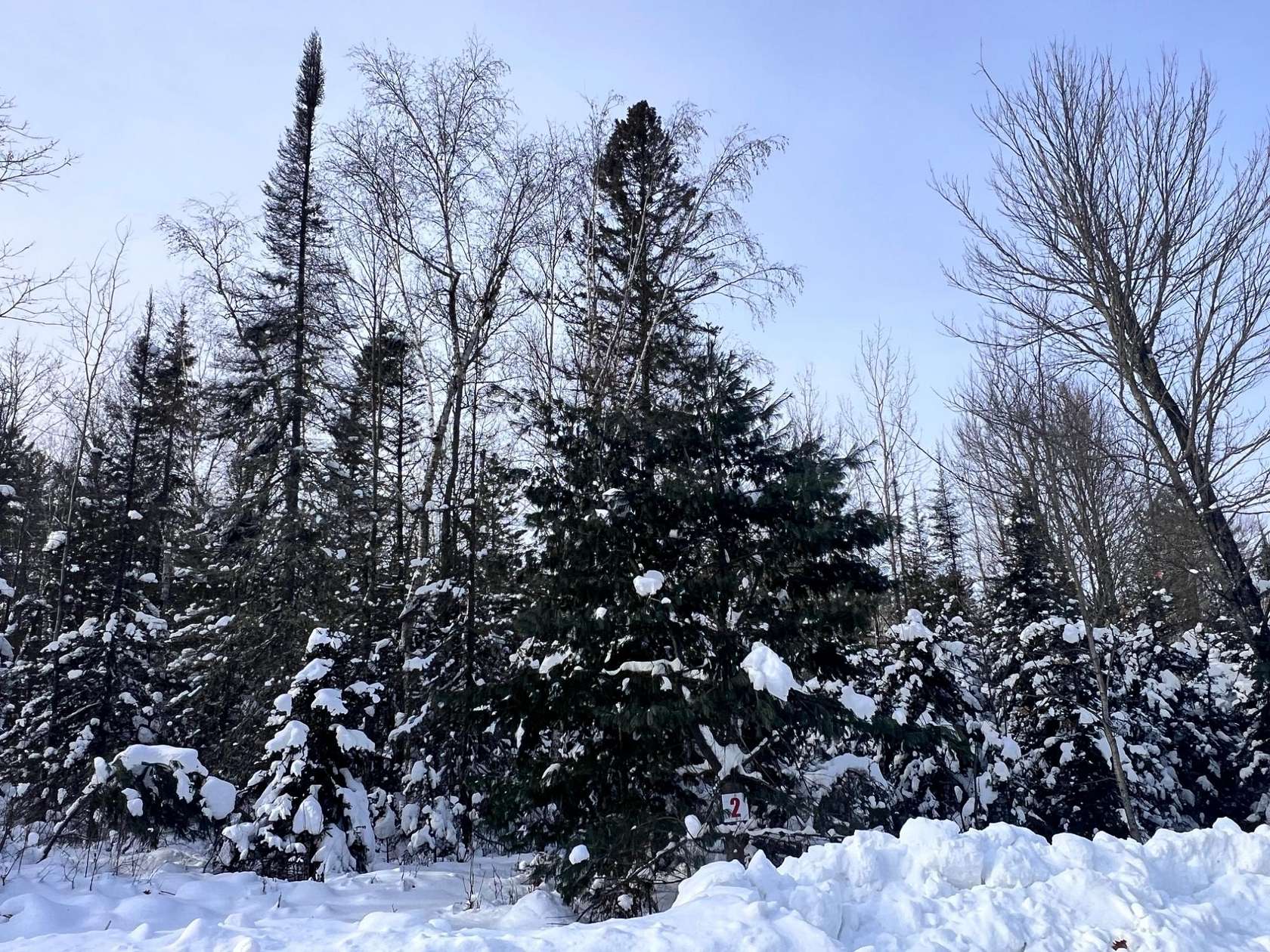 1.57 Acres of Residential Land for Sale in Eagle River, Wisconsin