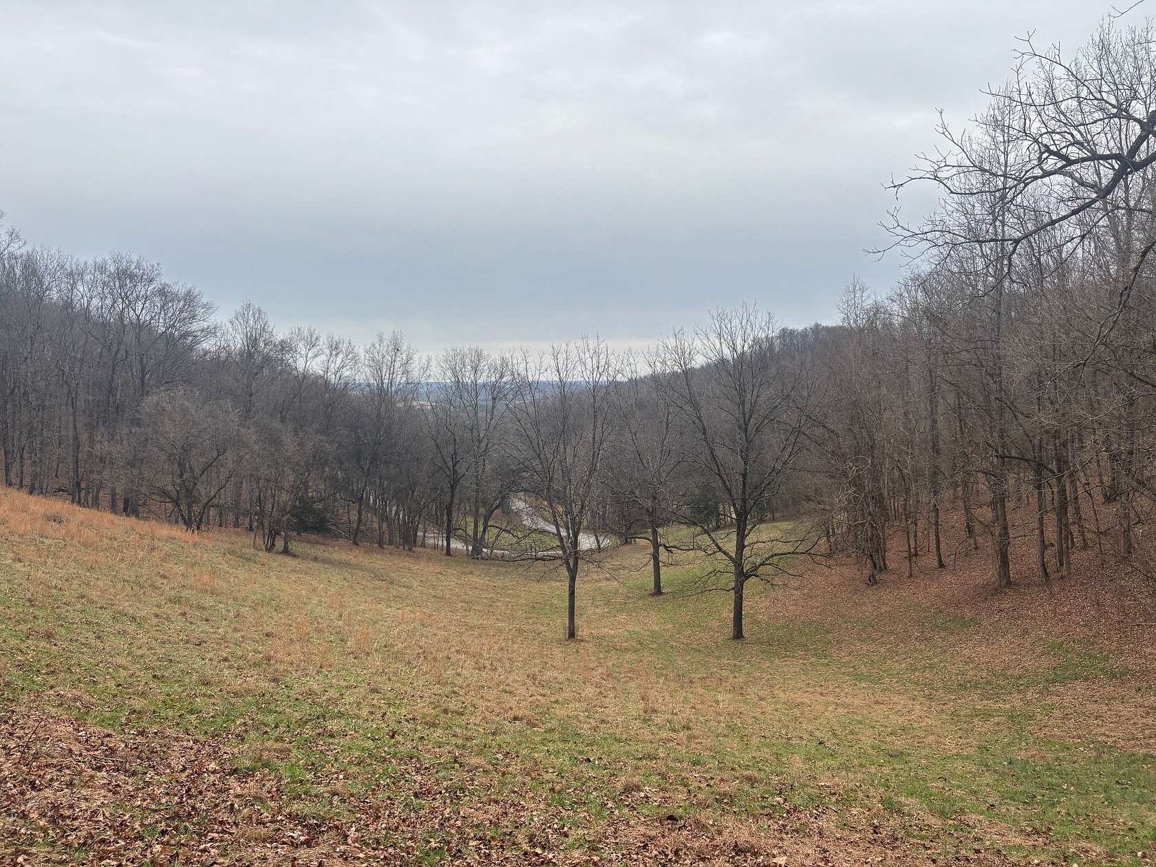 18 Acres of Land for Sale in Pulaski, Tennessee
