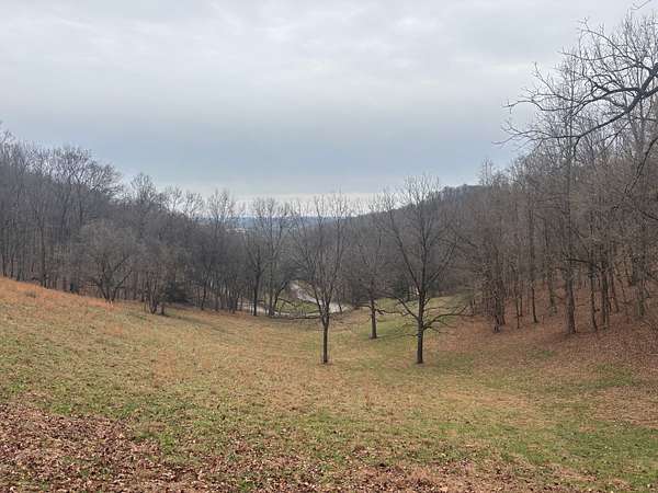 18 Acres of Land for Sale in Pulaski, Tennessee
