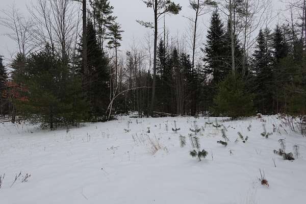 22.3 Acres of Land for Sale in Embden, Maine