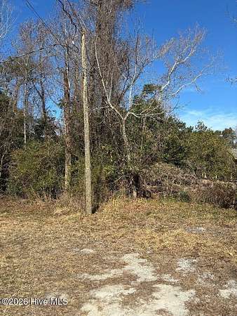 0.2 Acres of Residential Land for Sale in Wilmington, North Carolina