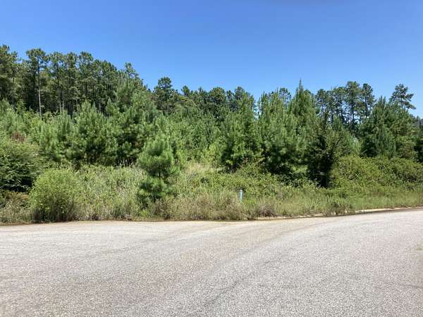 2.19 Acres of Residential Land for Sale in Sumter, South Carolina