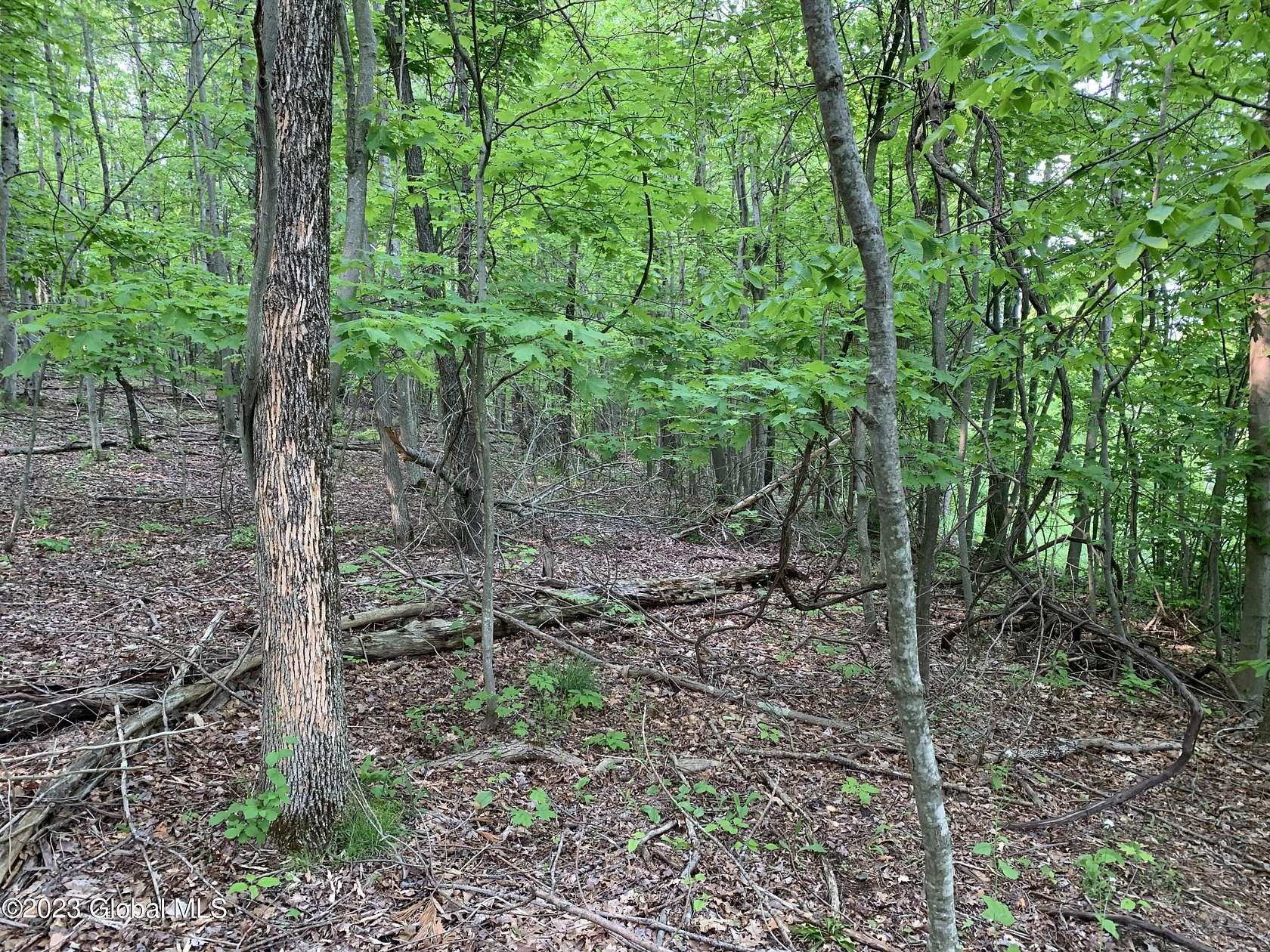 2 Acres of Residential Land for Sale in Canaan, New York