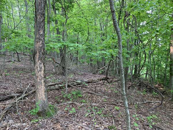 2 Acres of Residential Land for Sale in Canaan, New York
