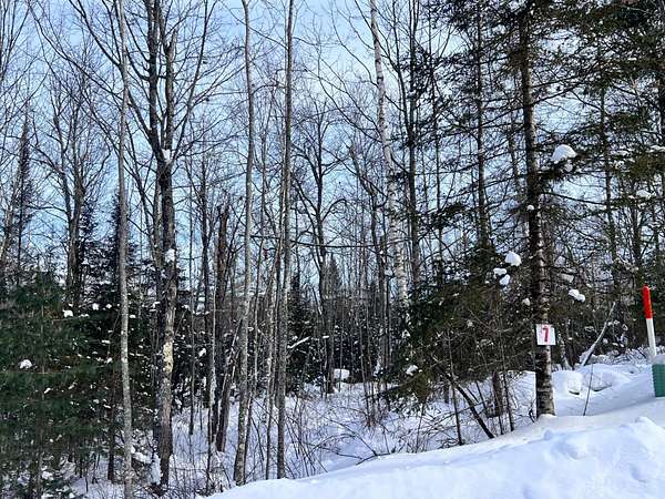 1.5 Acres of Residential Land for Sale in Eagle River, Wisconsin
