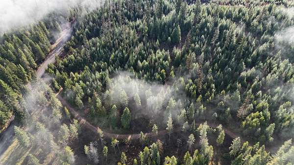 5.79 Acres of Residential Land for Sale in Orofino, Idaho