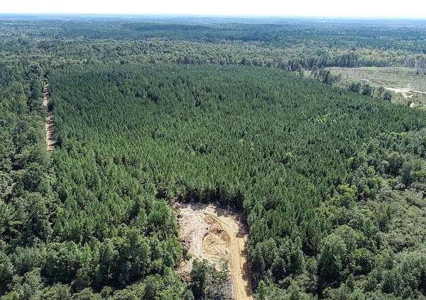 445 Acres of Recreational Land for Sale in Camden, Mississippi