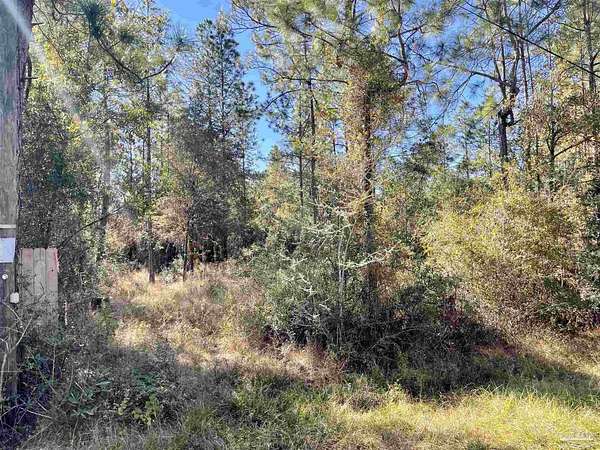 3 Acres of Residential Land for Sale in Milton, Florida