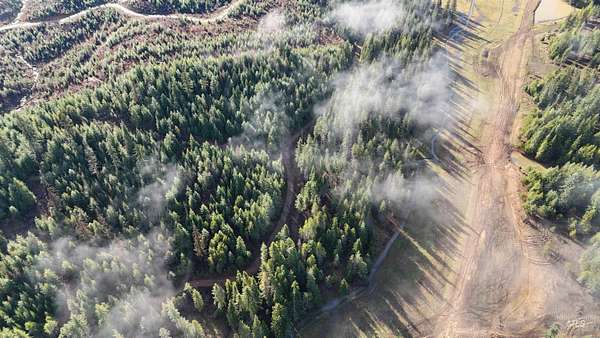 5.79 Acres of Land for Sale in Orofino, Idaho