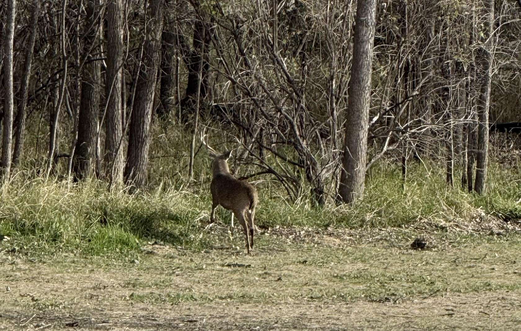 58 Acres of Recreational Land for Sale in Portage, Wisconsin