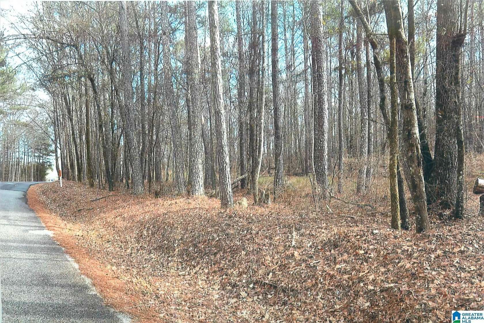 9.4 Acres of Land for Sale in Pell City, Alabama