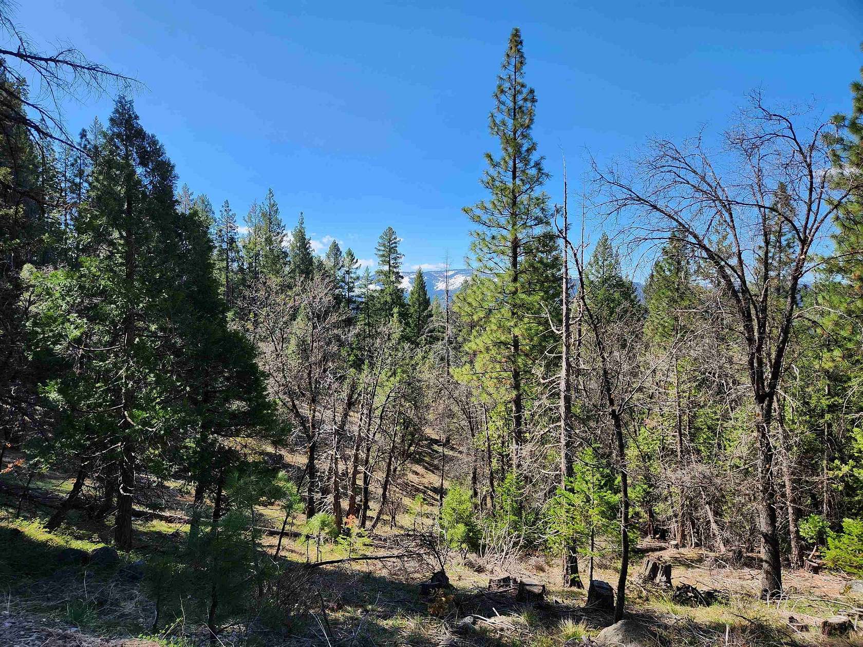 0.87 Acres of Residential Land for Sale in Spring Garden, California