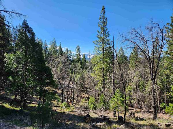 0.87 Acres of Residential Land for Sale in Spring Garden, California