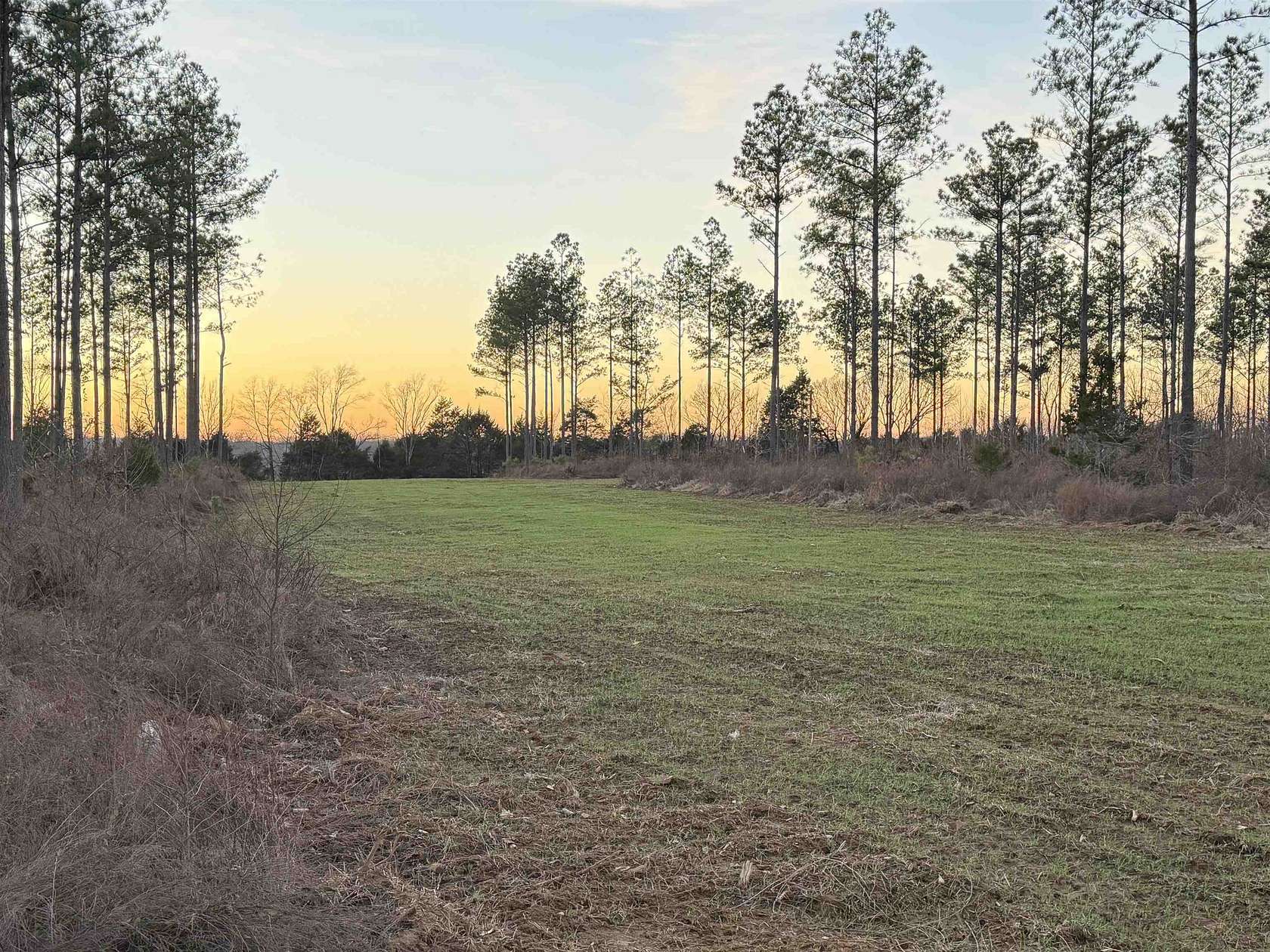 55.5 Acres of Land for Sale in Bolivar, Tennessee