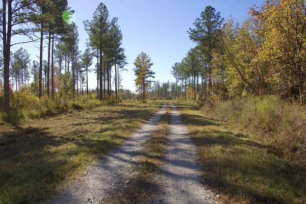 55.5 Acres of Land for Sale in Bolivar, Tennessee