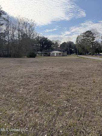0.32 Acres of Land for Sale in Leakesville, Mississippi