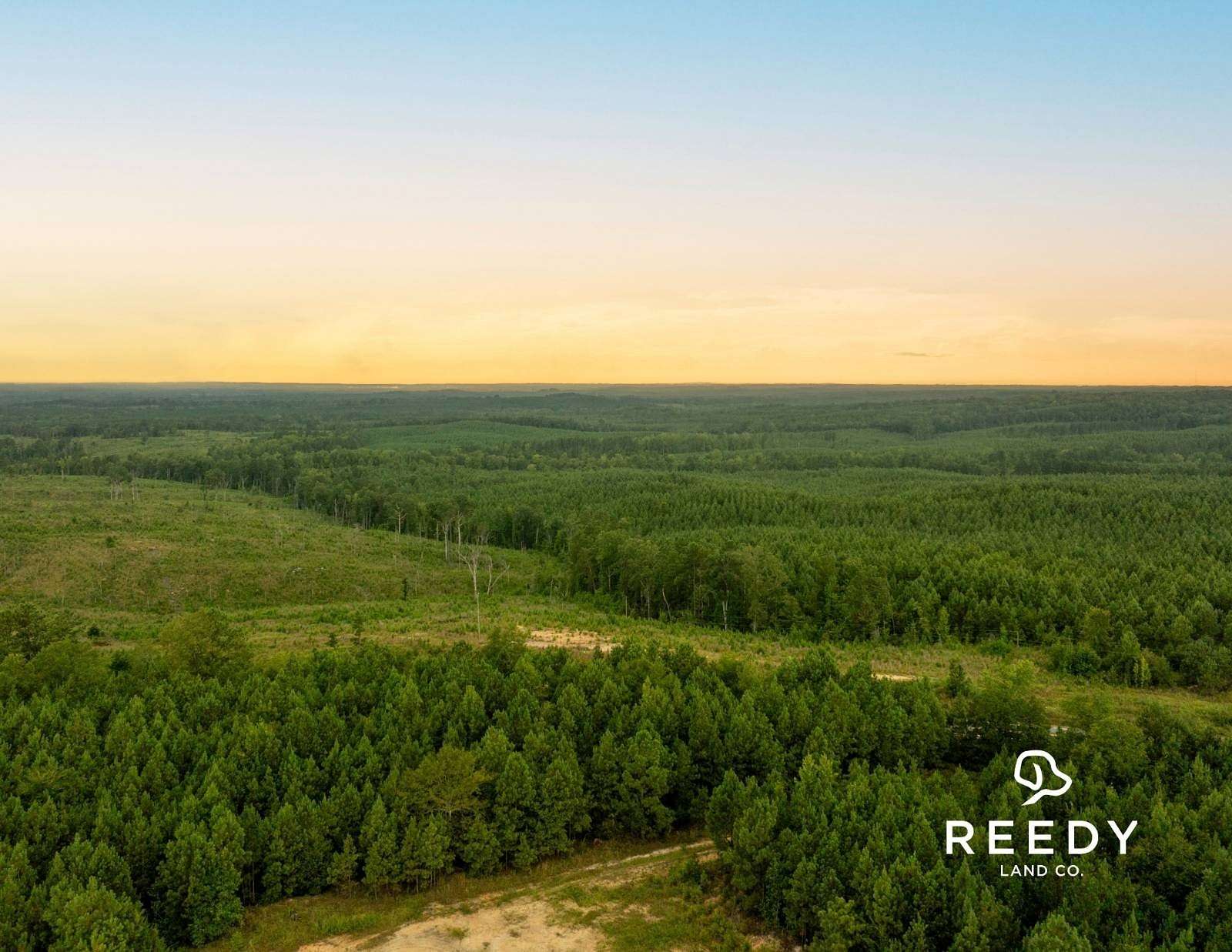 205 Acres of Recreational Land for Sale in Winnsboro, South Carolina