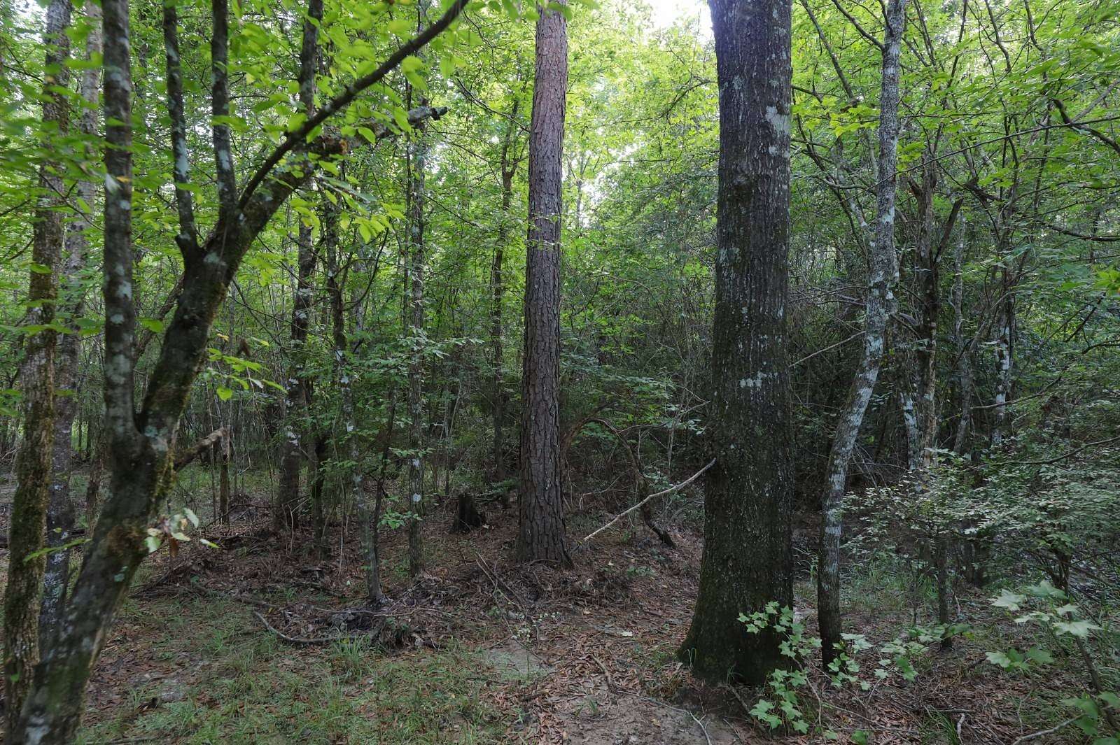 35 Acres of Recreational Land for Sale in Jonesboro, Louisiana