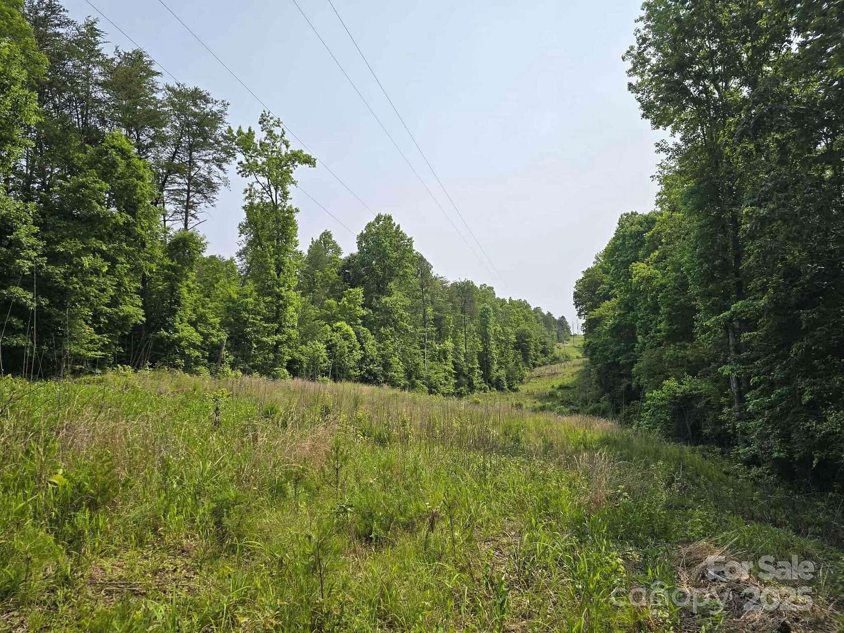 5.17 Acres of Residential Land for Sale in Rutherfordton, North Carolina