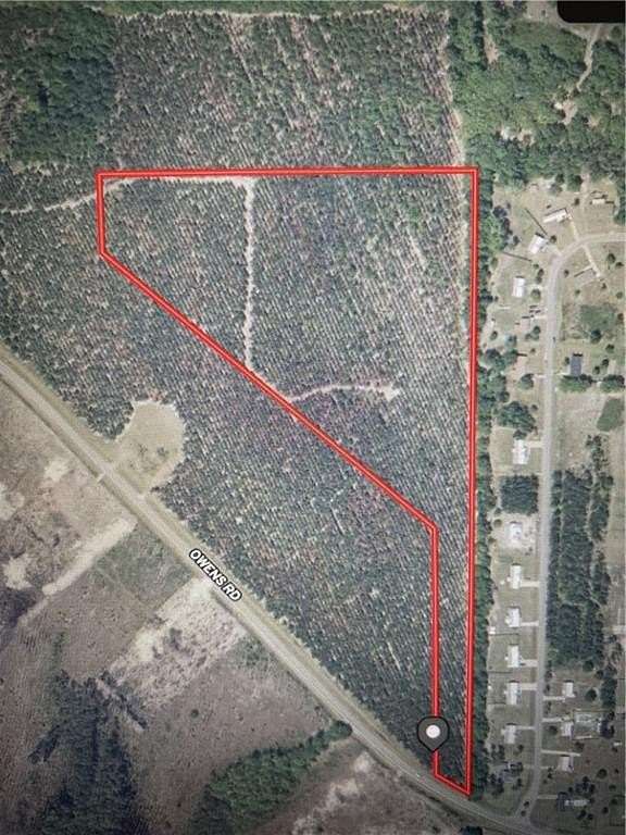 20 Acres of Land for Sale in Blackshear, Georgia