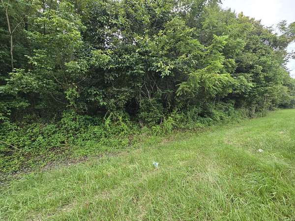 6 Acres of Residential Land for Sale in Calvin, Kentucky