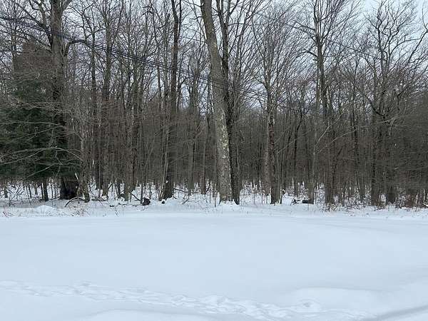 9 Acres of Land for Sale in Coudersport, Pennsylvania