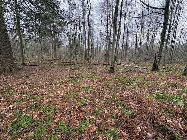 9 Acres of Land for Sale in Coudersport, Pennsylvania